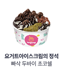 [요거트아이스크림의 정석] 프리미엄 토핑 빠삭 두바이 초코쉘