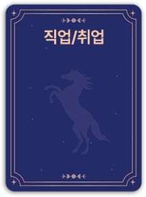 직업/취업 카드